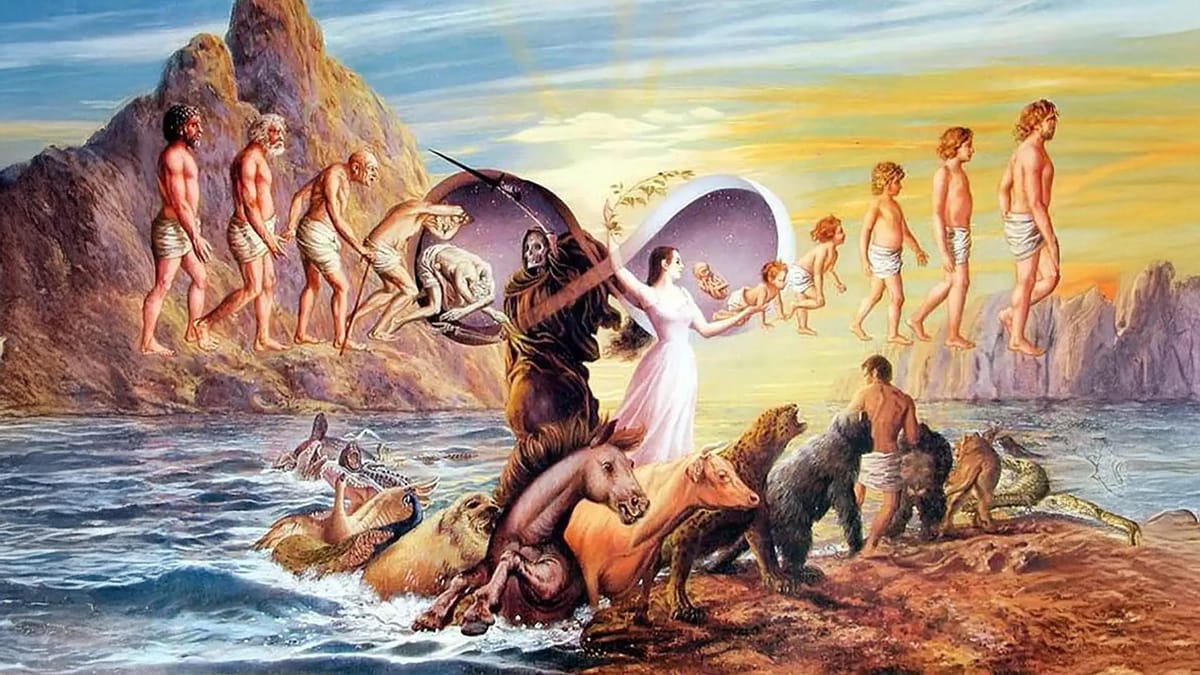 The Law of Reincarnation: The Soul’s Journey of Ascension